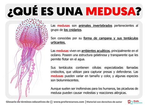 que significa una medusa.